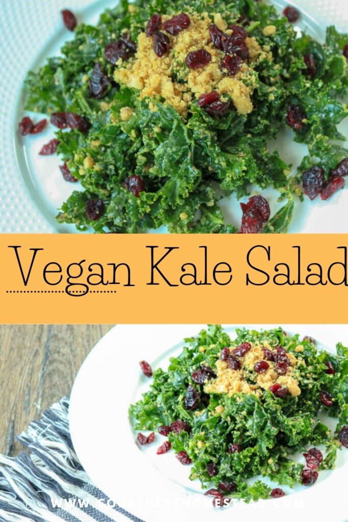 Vegan Kale Salad