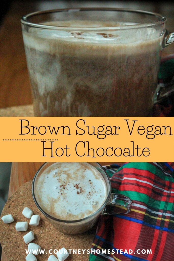 https://courtneyshomestead.com/wp-content/uploads/2019/03/vegan-hot-chocolate-1-683x1024.jpg