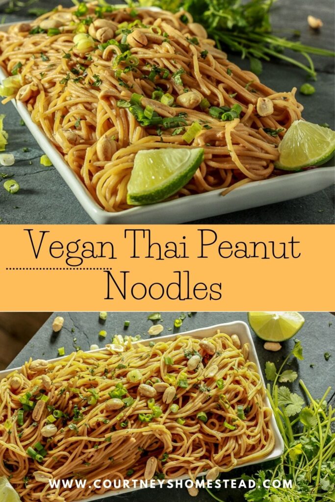 Vegan Thai Peanut Noodles