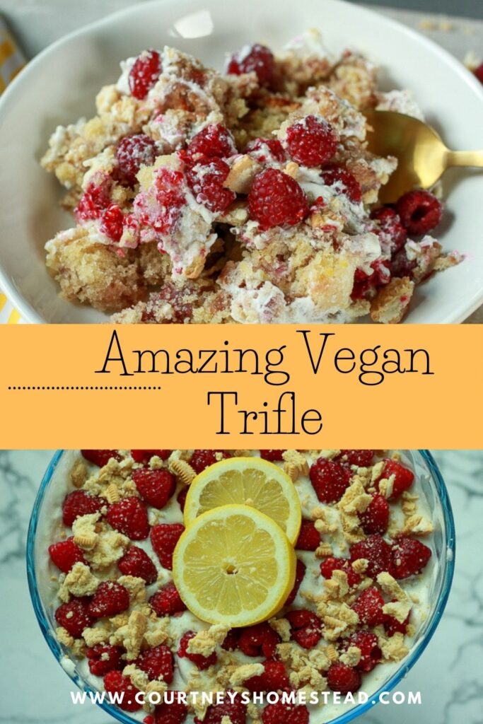 Amazing vegan trifle