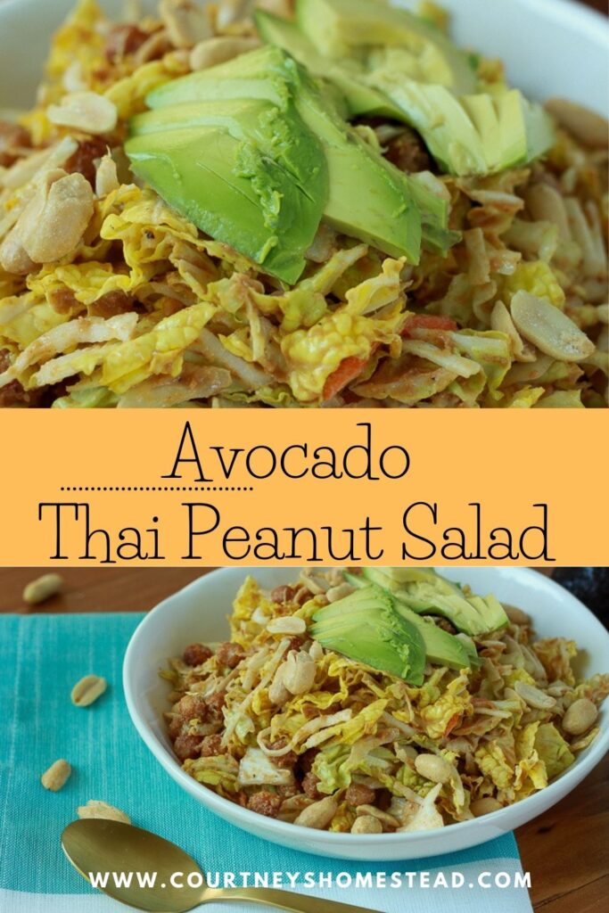 Avocado Thai Peanut Salad