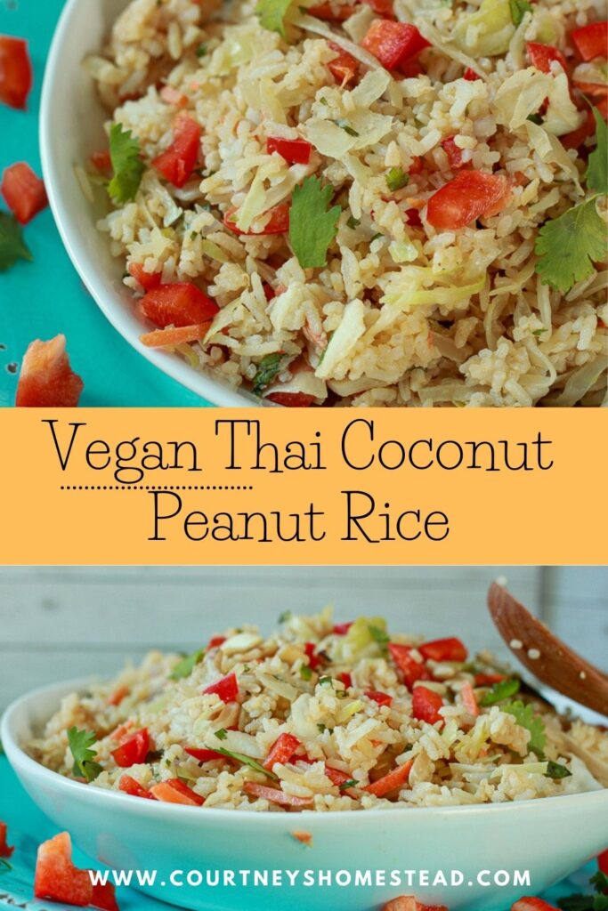 Vegan Thai Coconut Peanut Rice