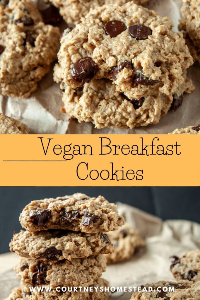 the best vegan breakfast cookies