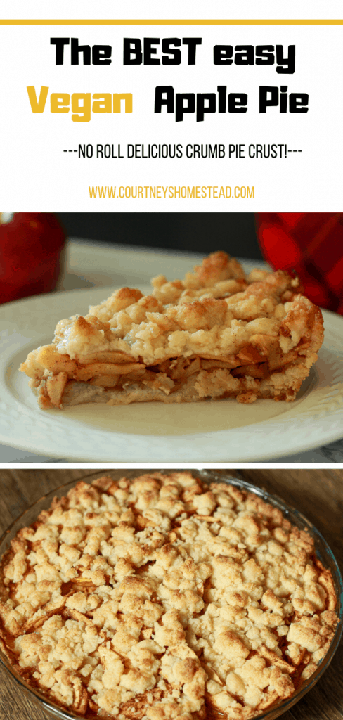 The best easy vegan apple pie