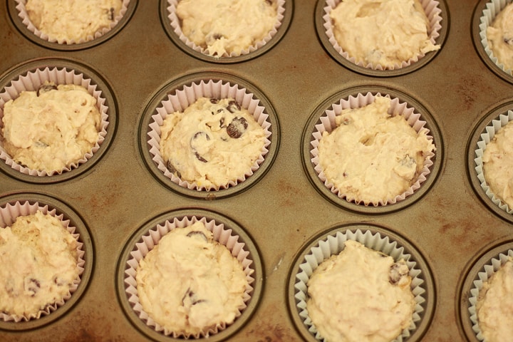 pre baked vegan chocolate chip cupcakes