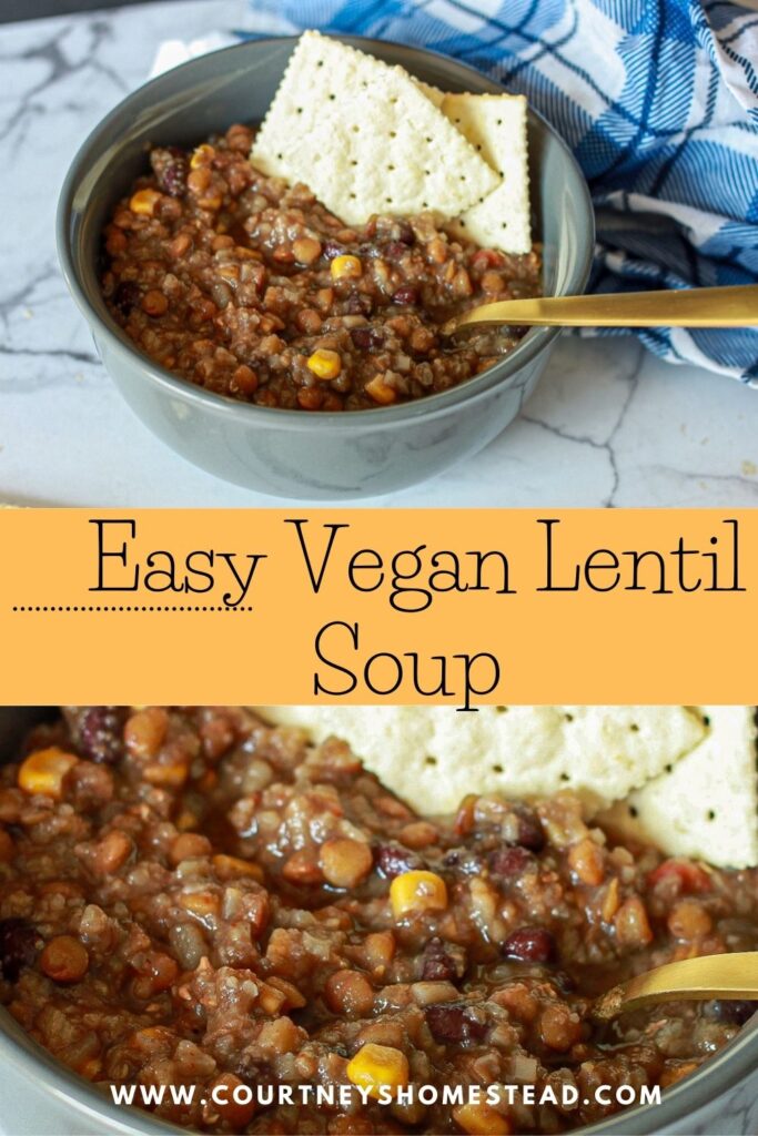 instant pot vegan lentil soup