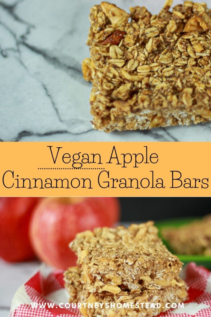 vegan apple cinnamon granola bars