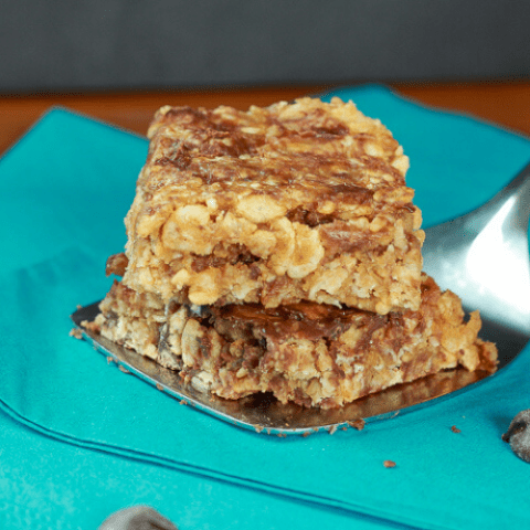 Vegan granola bars