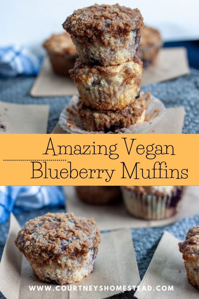 the best vegan blueberry muffins