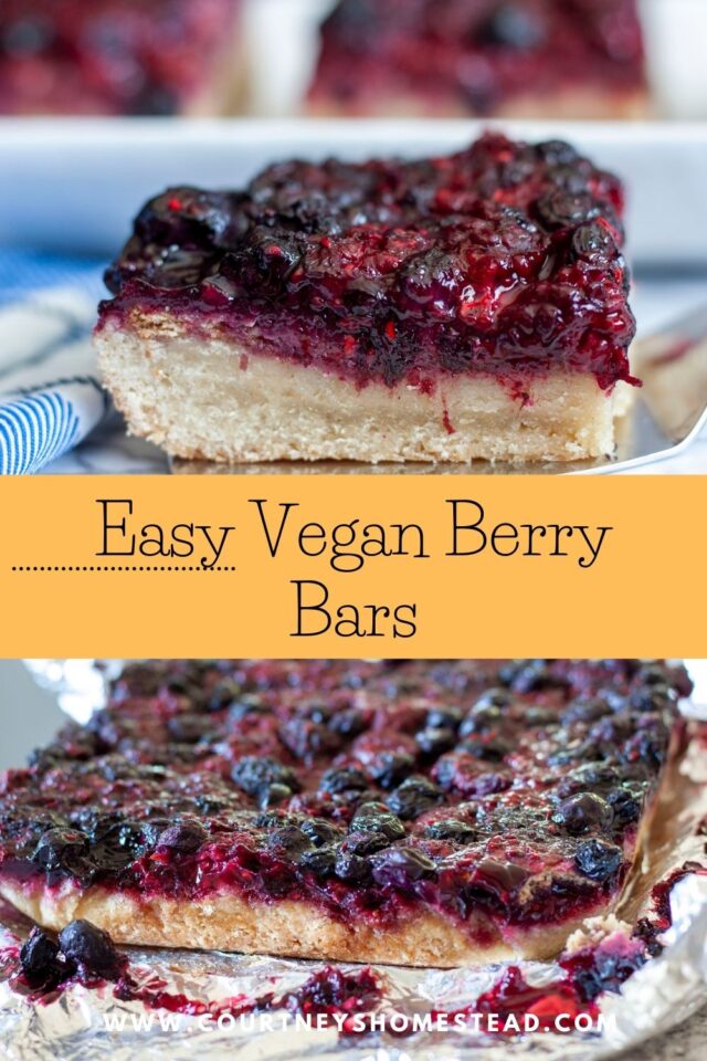 Delicious Easy Vegan Berry Bars - Courtney's Homestead