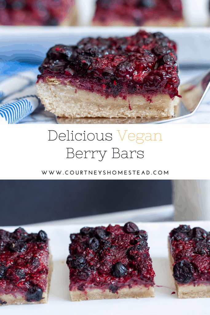 Vegan Berry Bars