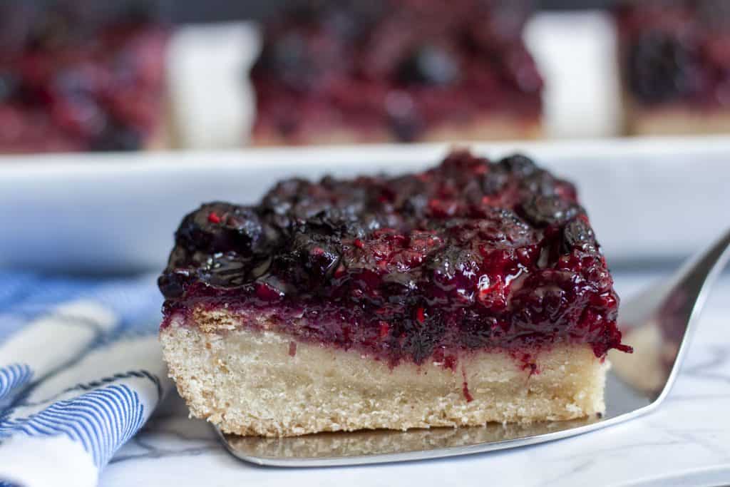 the best vegan berry bars