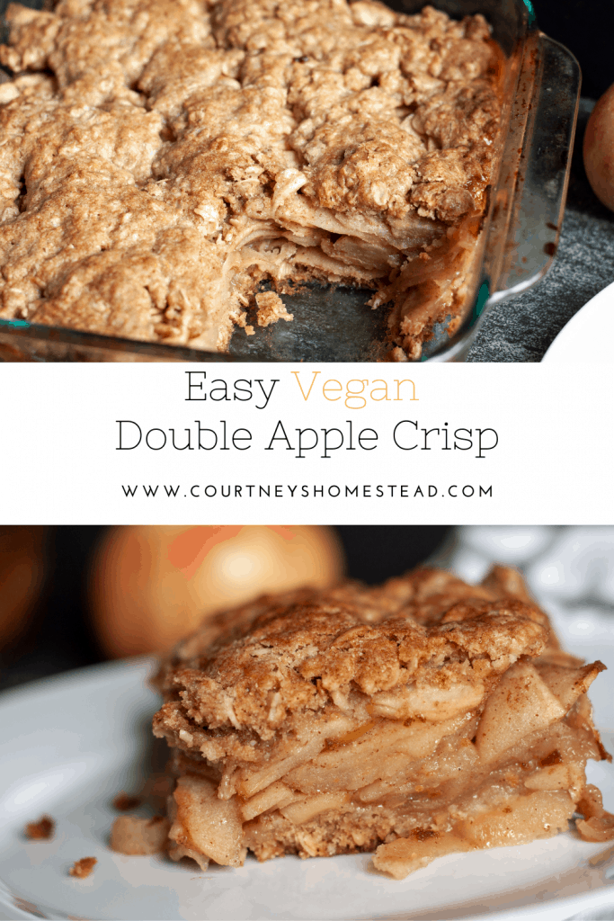 Easy Vegan double apple crisp