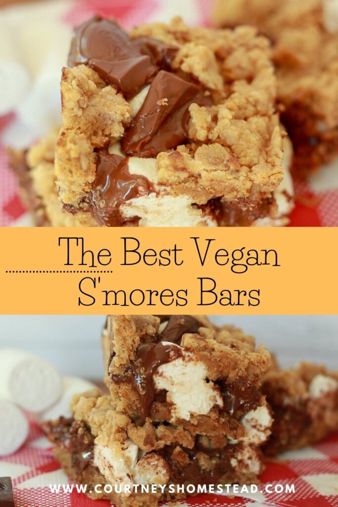 The Best Vegan S'mores Bars