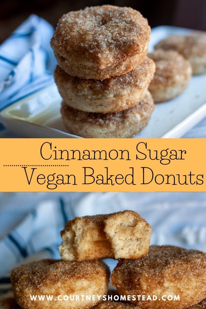 Cinnamon sugar vegan baked donuts