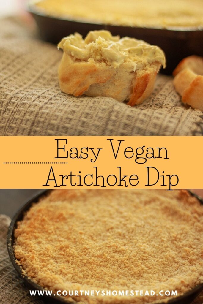 Easy Vegan Artichoke dip made in a blender