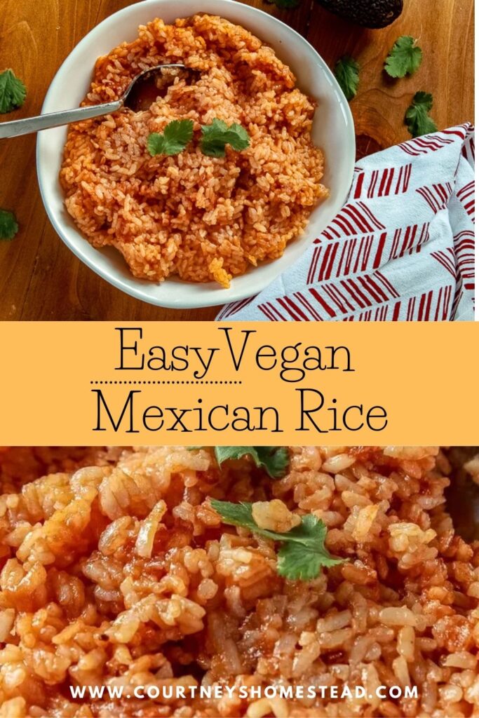 vegan mexican rice in rice cooker