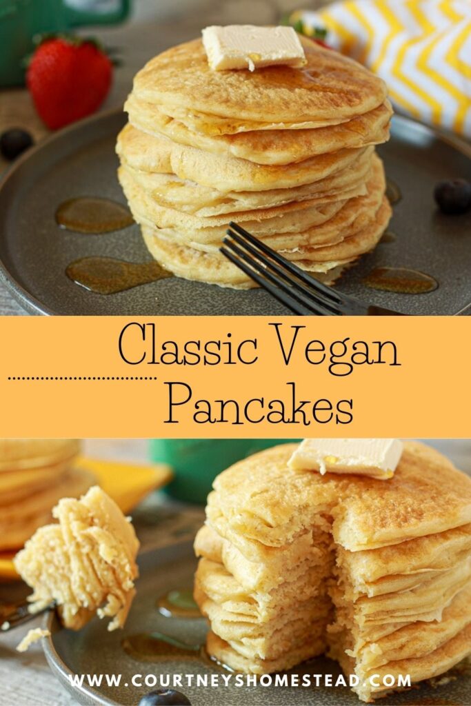 Pancake Griddle Pan - The Vegan 8