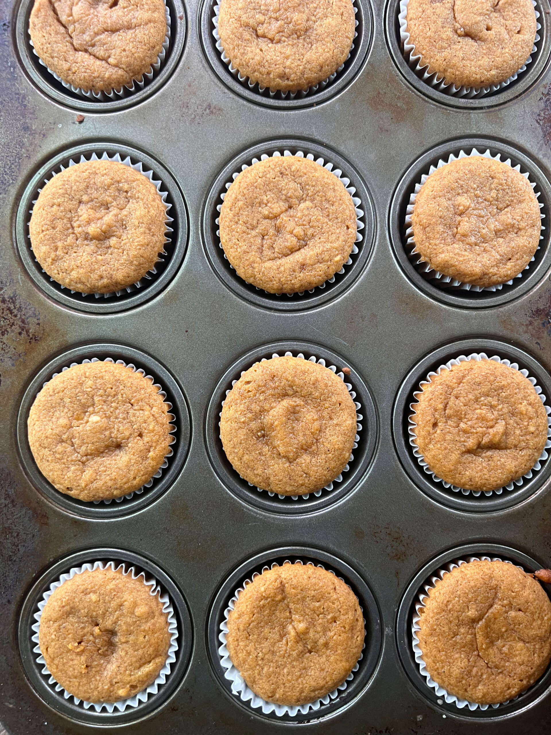 Vegan Pumpkin cupcakes fresh out of the oven in their muffin tin. 