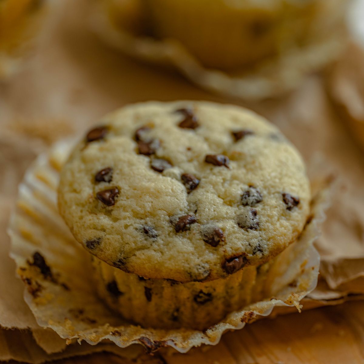 Vegan Chocolate Chip Muffins Recipe Courtney's Homestead