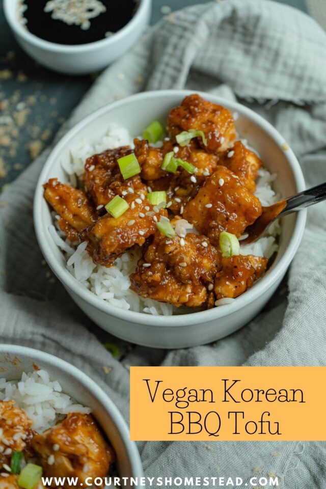 Korean BBQ Tofu Recipe Courtney's Homestead