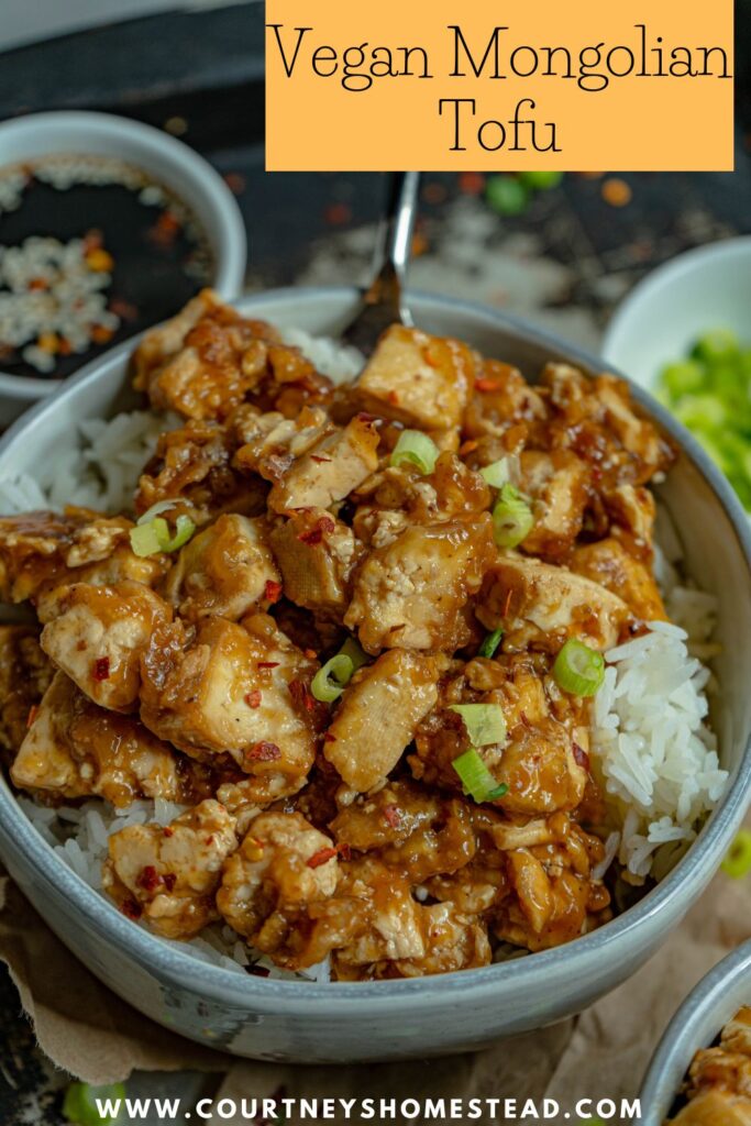 Vegan Mongolian Tofu Recipe