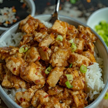 Vegan Mongolian Tofu