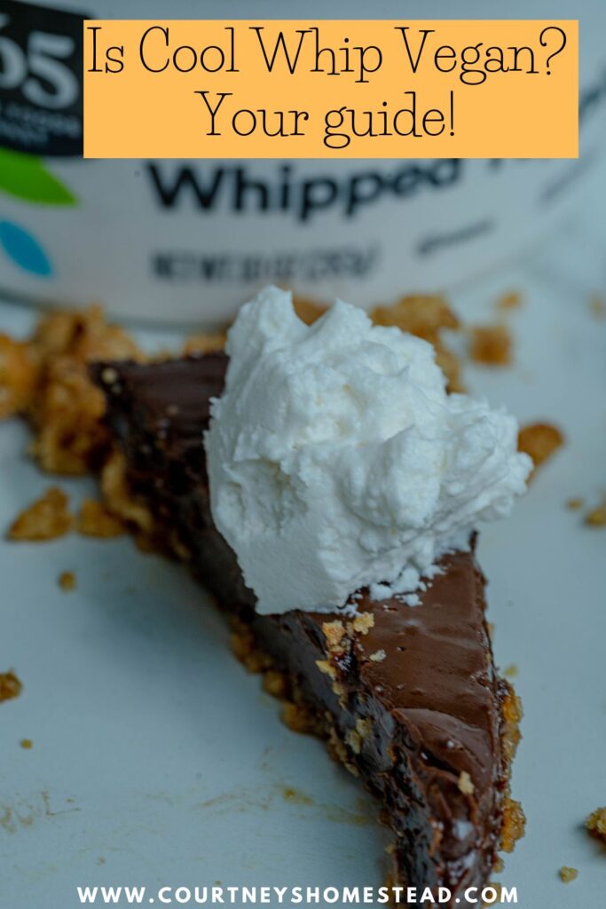 Is Cool Whip Vegan? Ultimate Vegan Whipped Cream Guide