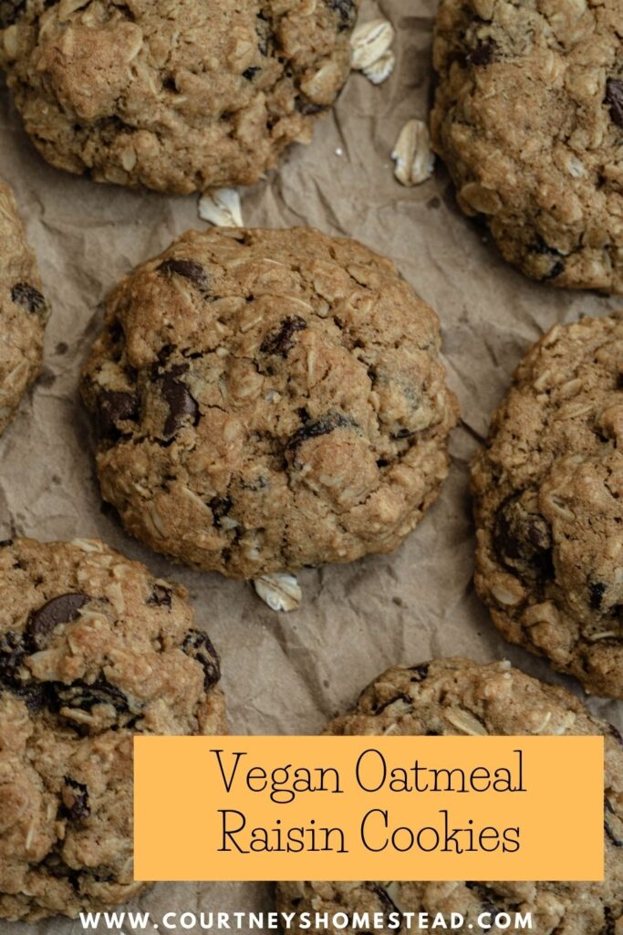 Vegan oatmeal raisin cookies