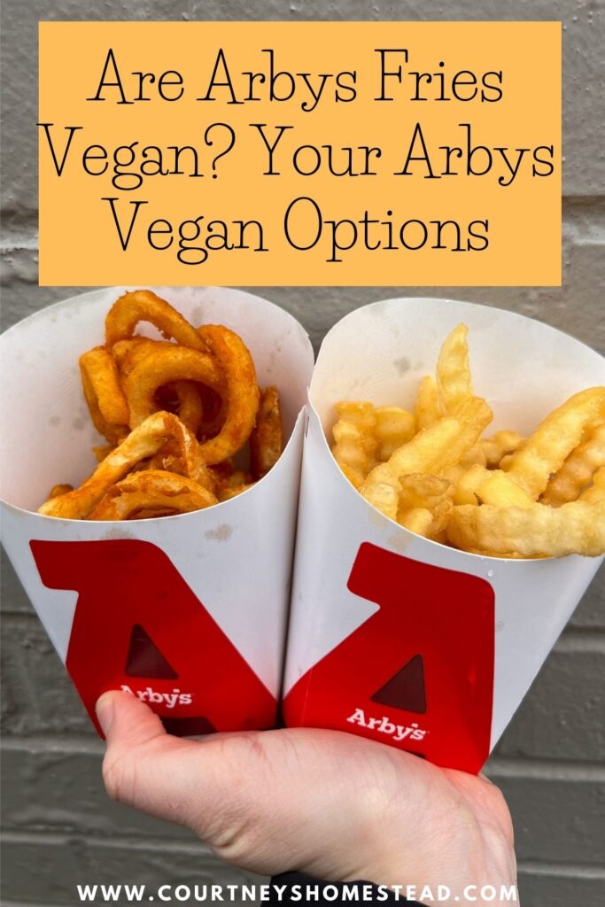 Are Arbys fries vegan?