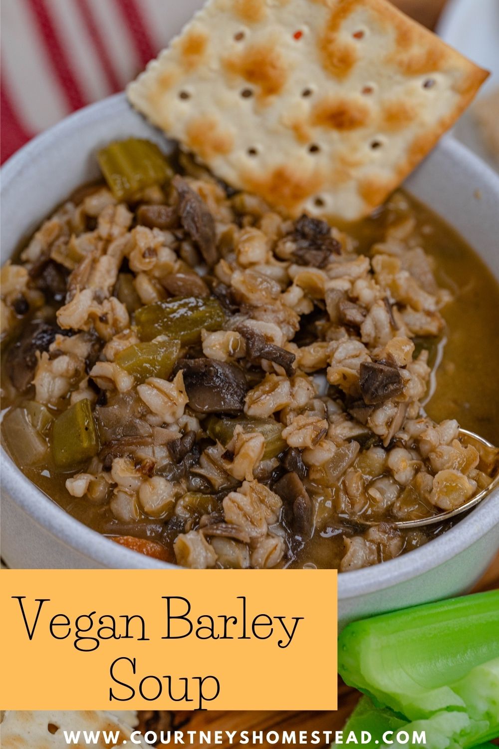 Vegan Barley Soup - Courtney's Homestead
