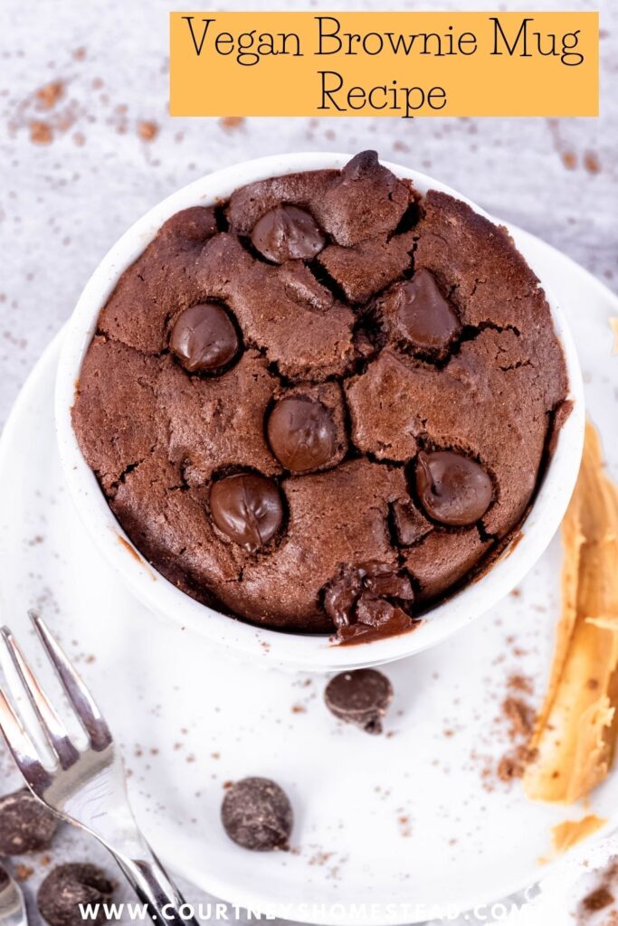 vegan brownie mug recipe